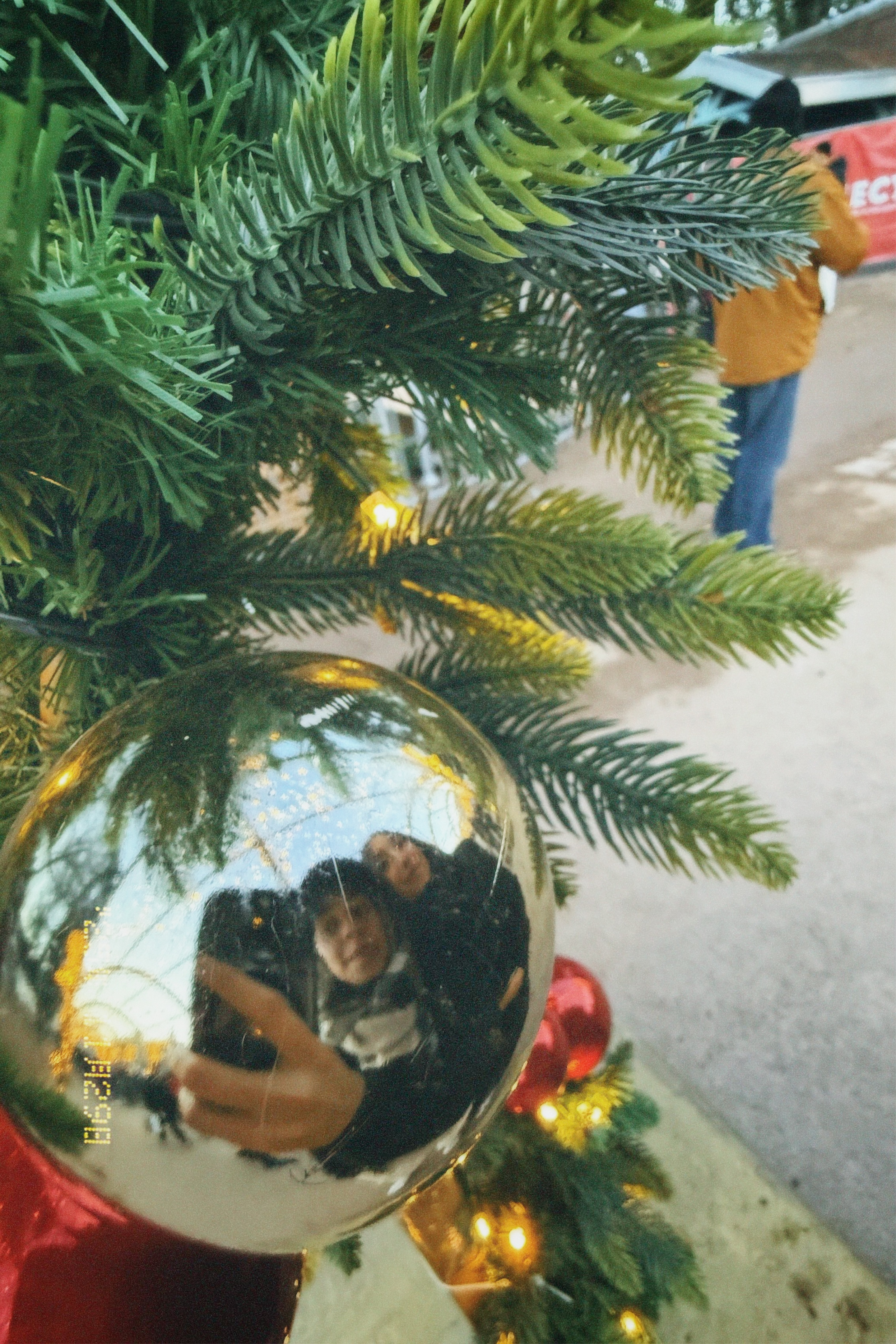 Reflet dans une boule